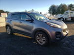 2017 Kia Sportage Lx Серый vin: KNDPMCAC9H7242611