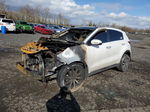 2017 Kia Sportage Ex Burn vin: KNDPNCACXH7183405