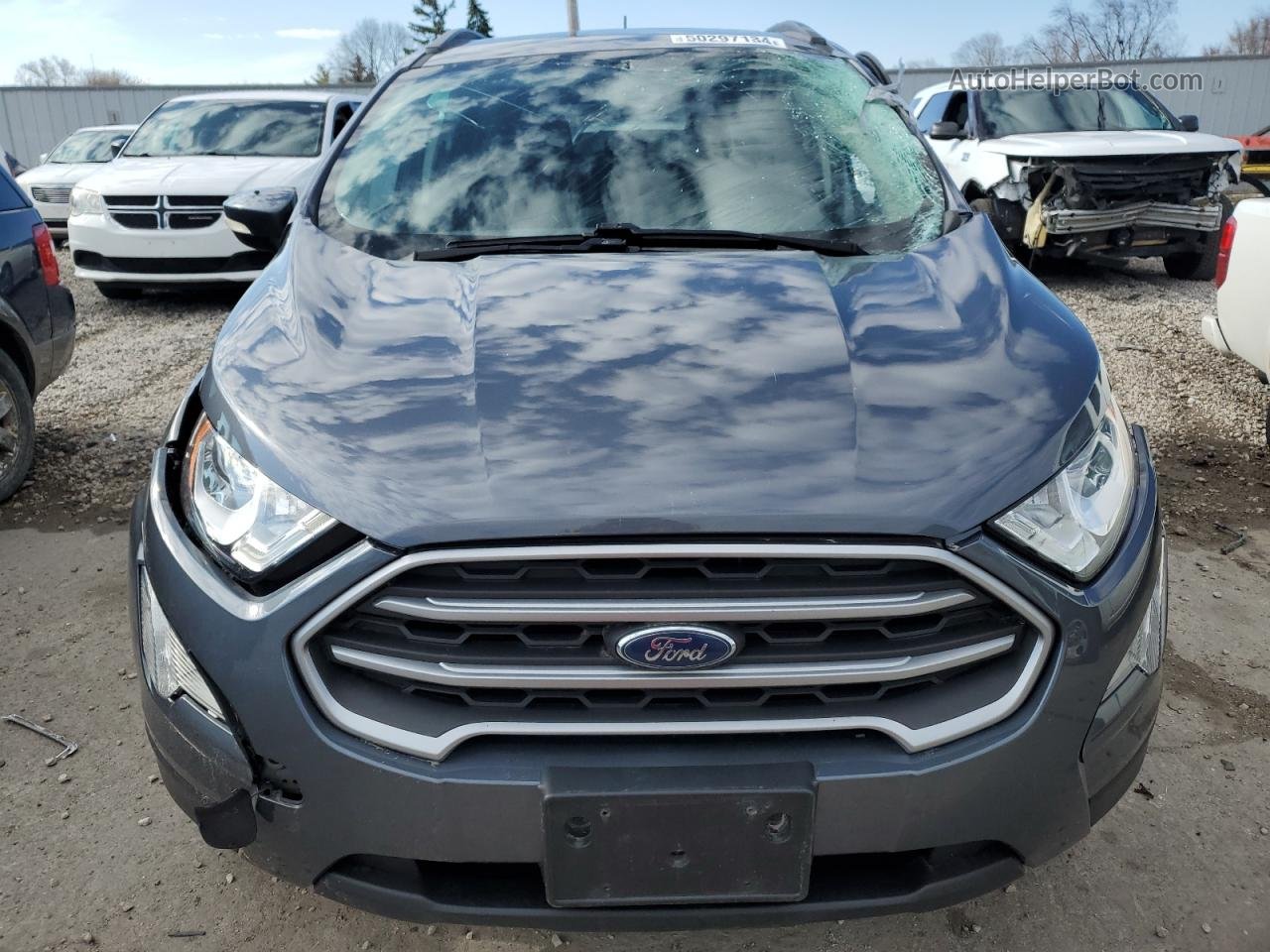 2019 Ford Ecosport Se Gray vin: MAJ3S2GE3KC275812