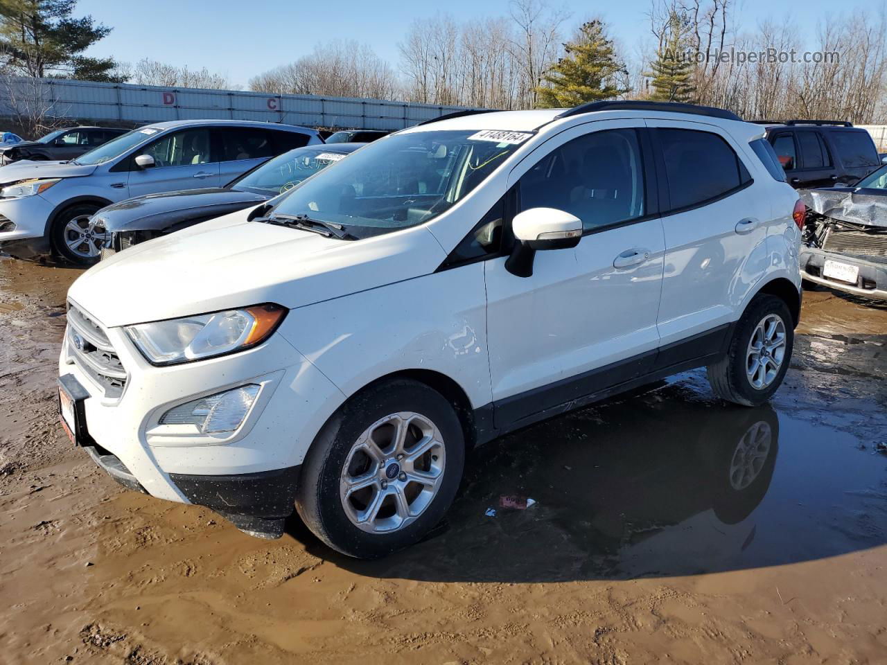 2019 Ford Ecosport Se White vin: MAJ3S2GE7KC262786