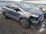 2019 Ford Ecosport Se Gray vin: MAJ3S2GE7KC290913