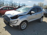 2019 Ford Ecosport Se Серебряный vin: MAJ3S2GE9KC269934