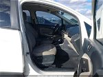 2019 Ford Ecosport Se White vin: MAJ3S2GE9KC281100