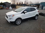 2019 Ford Ecosport Se Белый vin: MAJ6S3GL2KC289914