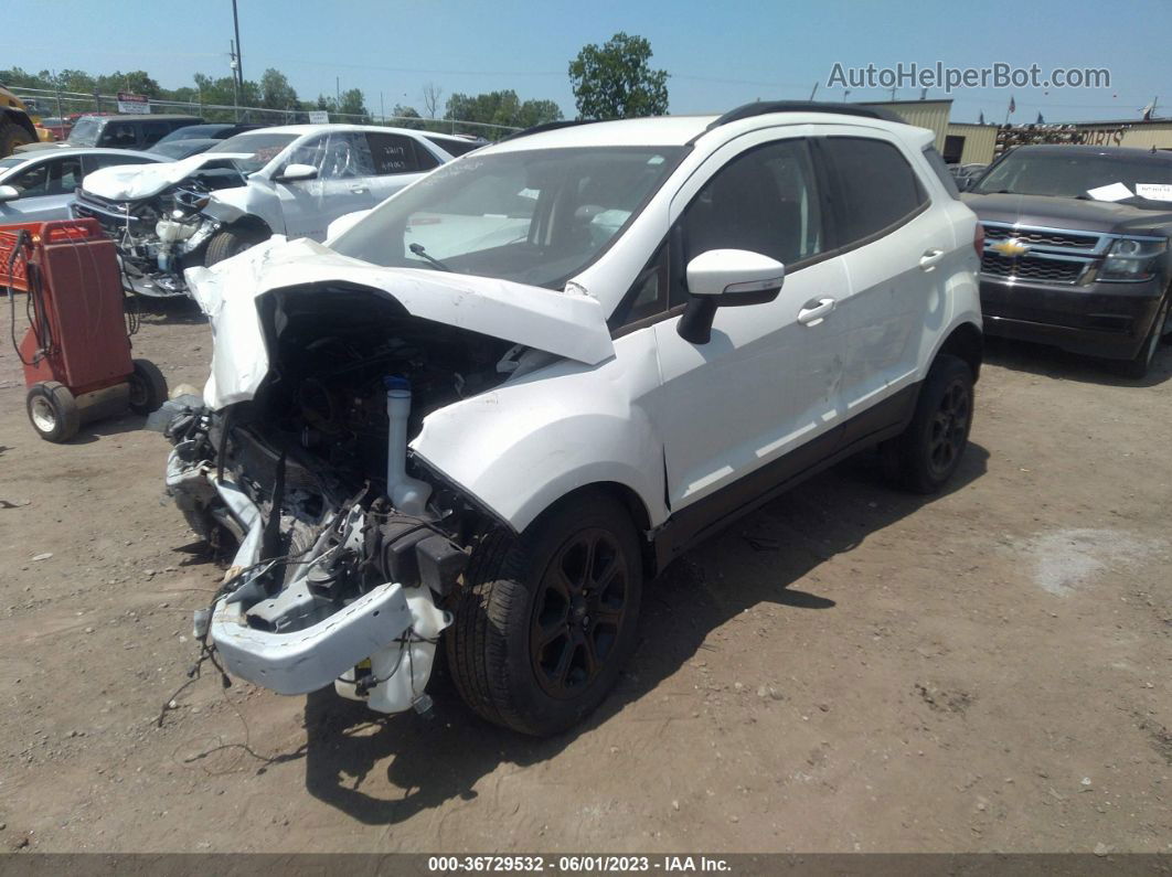 2019 Ford Ecosport Se White vin: MAJ6S3GL4KC310472