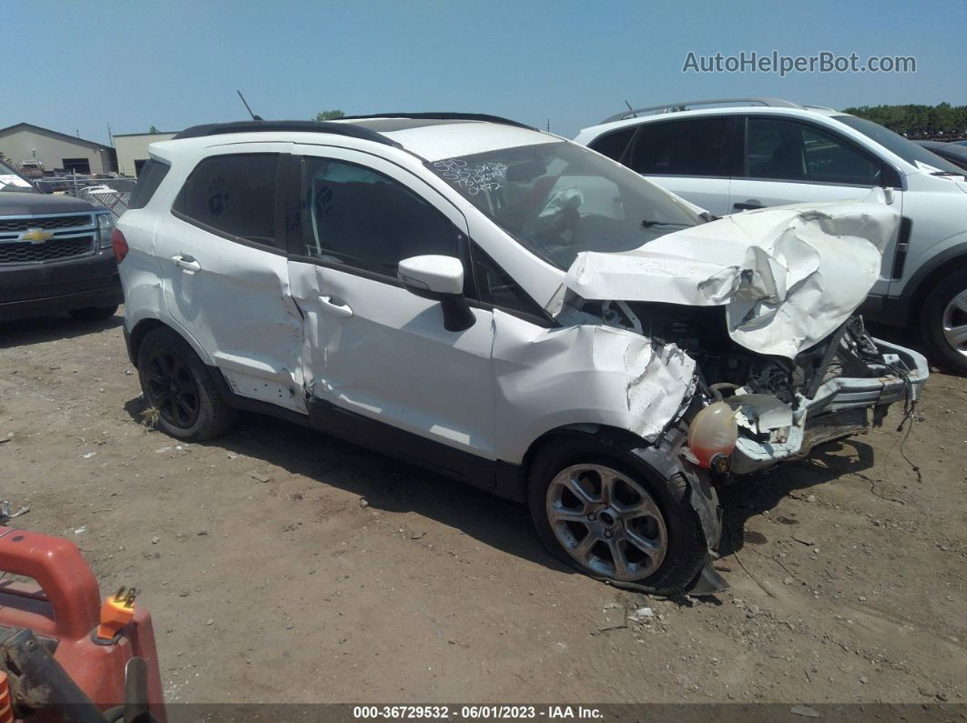 2019 Ford Ecosport Se White vin: MAJ6S3GL4KC310472