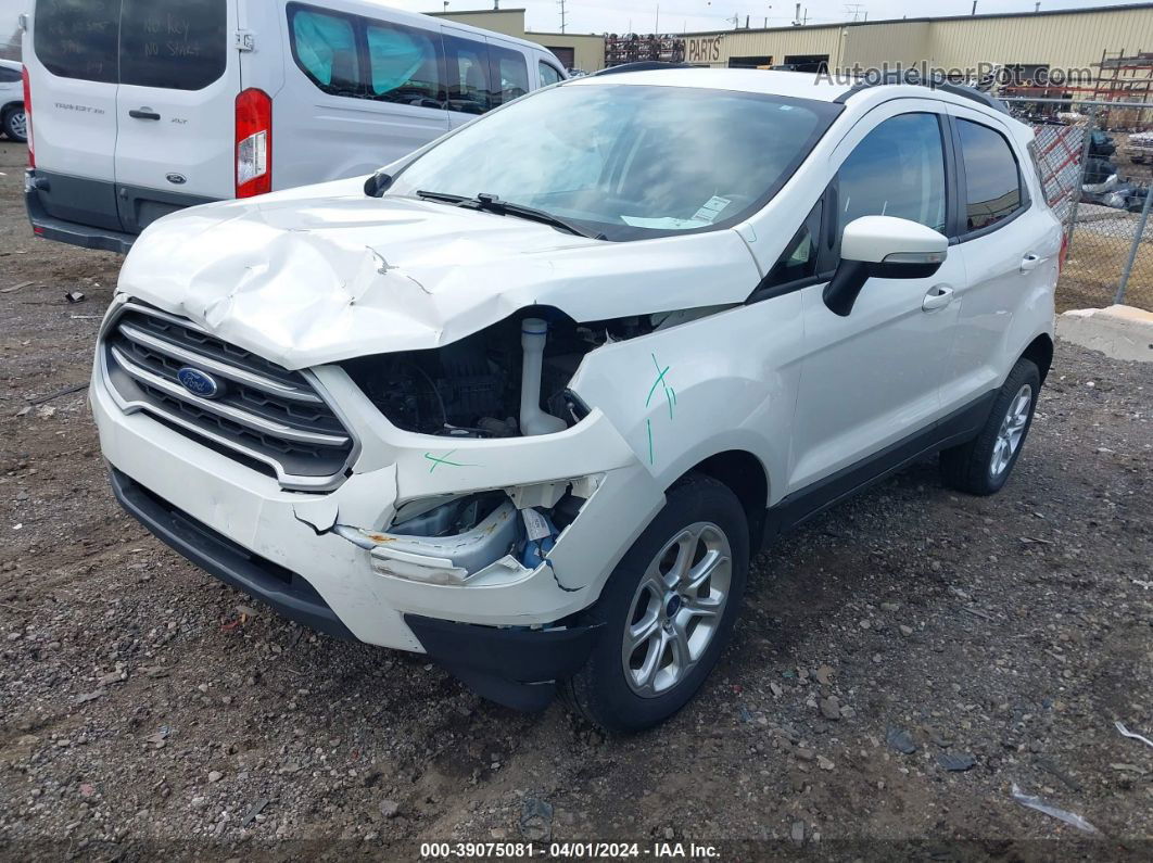 2019 Ford Ecosport Se White vin: MAJ6S3GL5KC263193