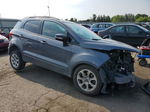 2019 Ford Ecosport Se Gray vin: MAJ6S3GL5KC303966