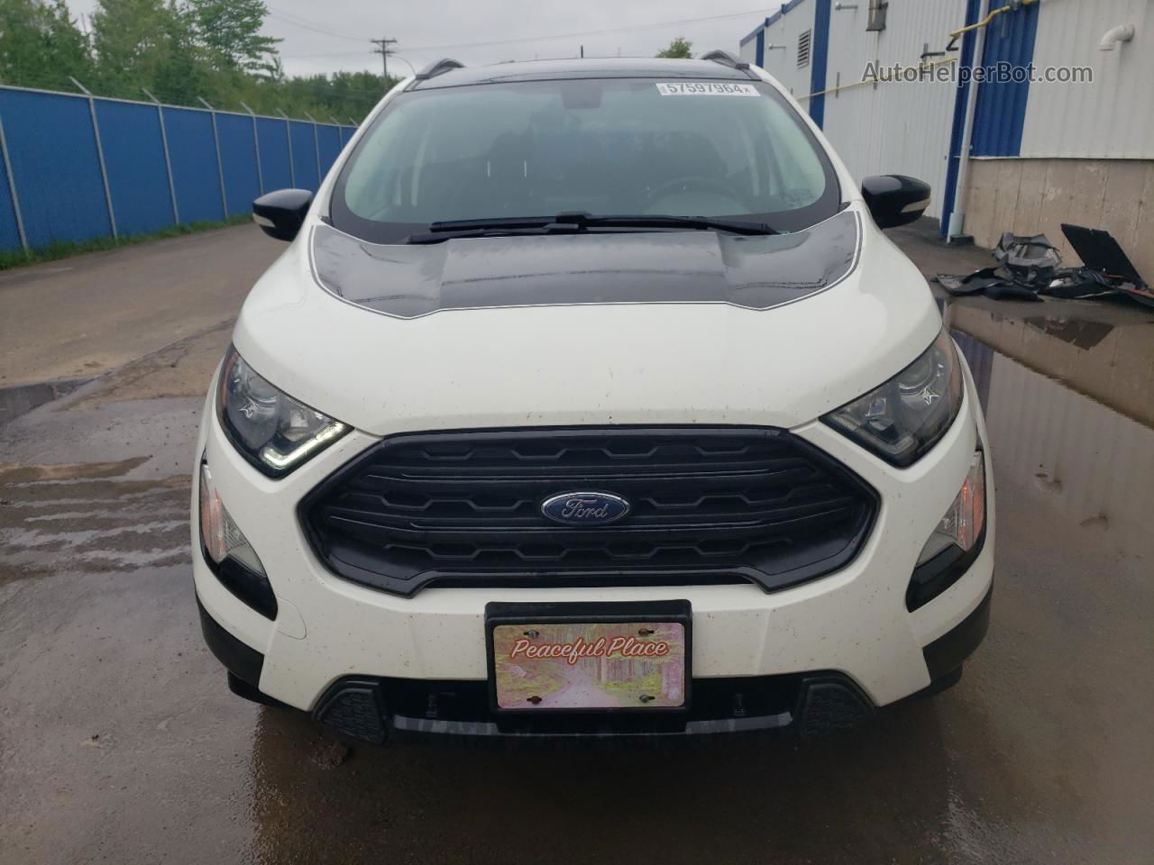 2019 Ford Ecosport Ses White vin: MAJ6S3JL2KC286620