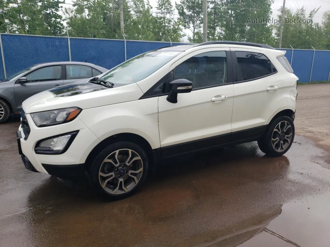 2019 Ford Ecosport Ses White vin: MAJ6S3JL2KC286620