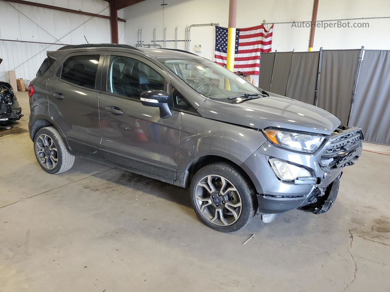 2019 Ford Ecosport Ses Gray vin: MAJ6S3JL4KC293682