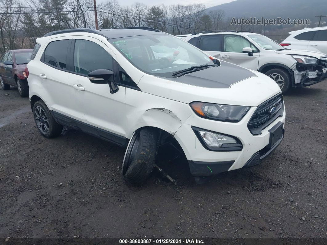 2019 Ford Ecosport Ses White vin: MAJ6S3JL5KC293657