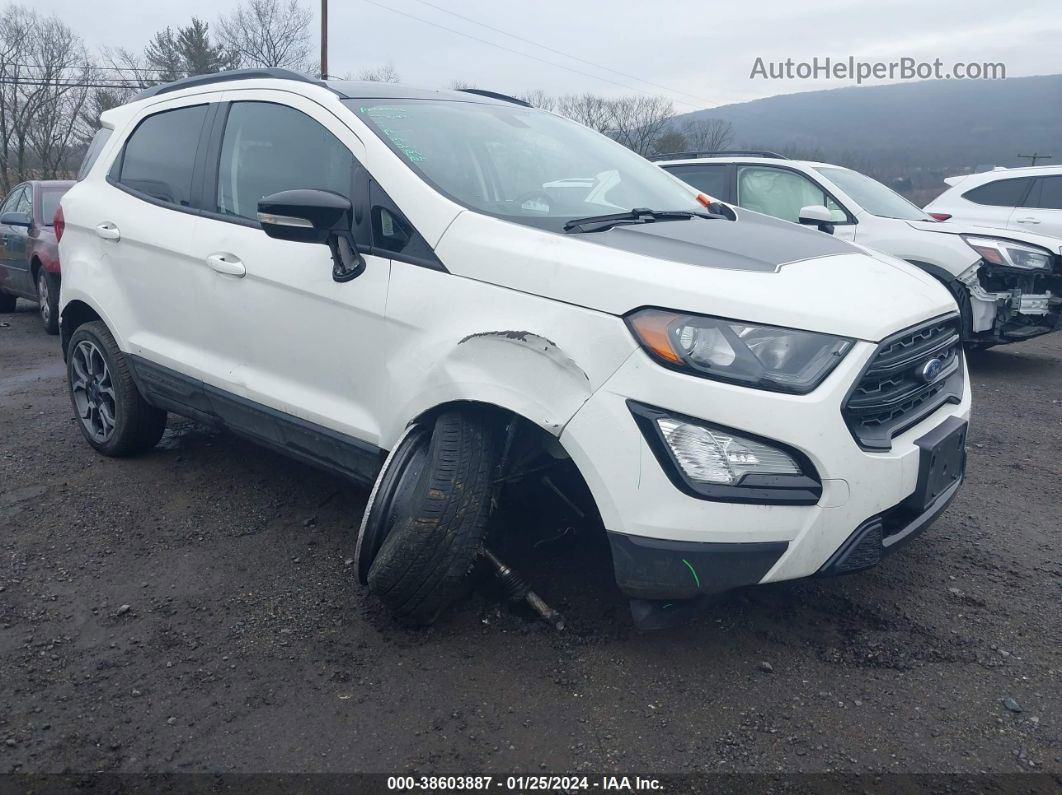 2019 Ford Ecosport Ses White vin: MAJ6S3JL5KC293657