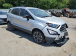 2020 Ford Ecosport Ses Silver vin: MAJ6S3JL5LC358332