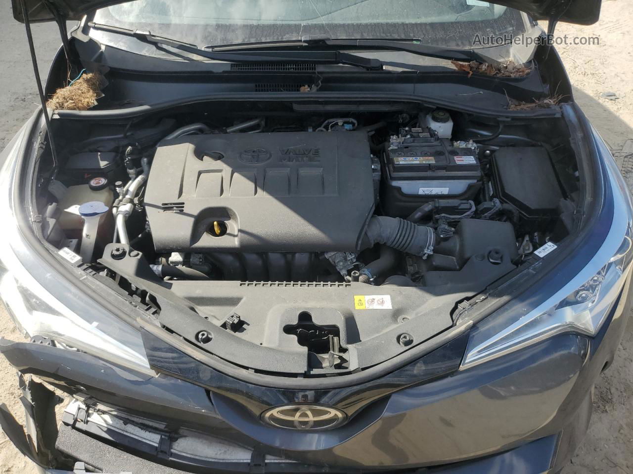 2019 Toyota C-hr Xle Gray vin: NMTKHMBX1KR079051