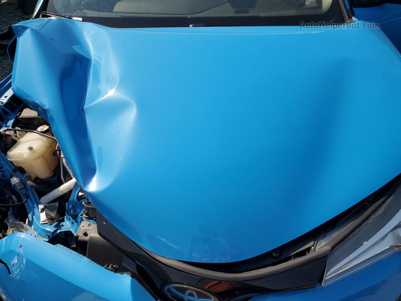 2019 Toyota C-hr Xle Blue vin: NMTKHMBX1KR098831