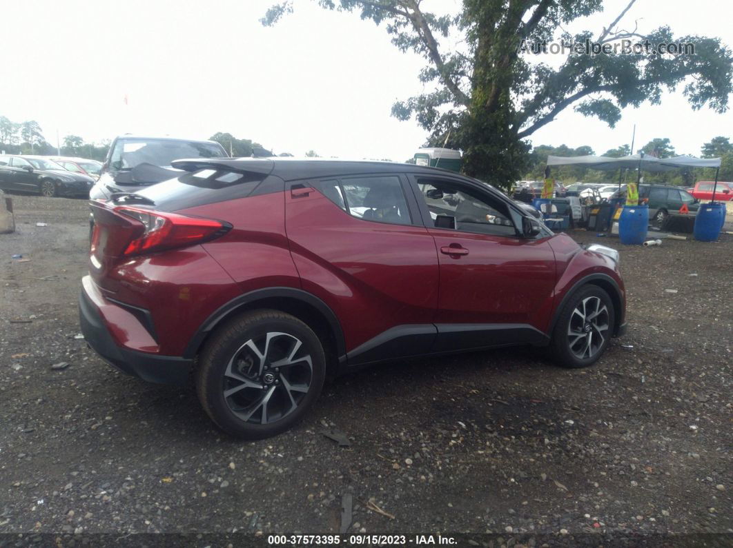 2019 Toyota C-hr Xle/le/limited Красный vin: NMTKHMBX4KR070165