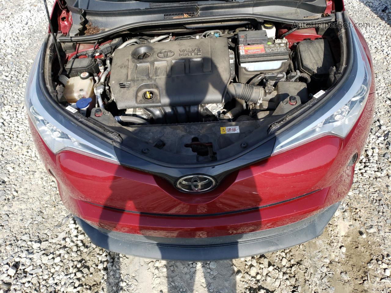 2019 Toyota C-hr Xle Red vin: NMTKHMBX4KR083661