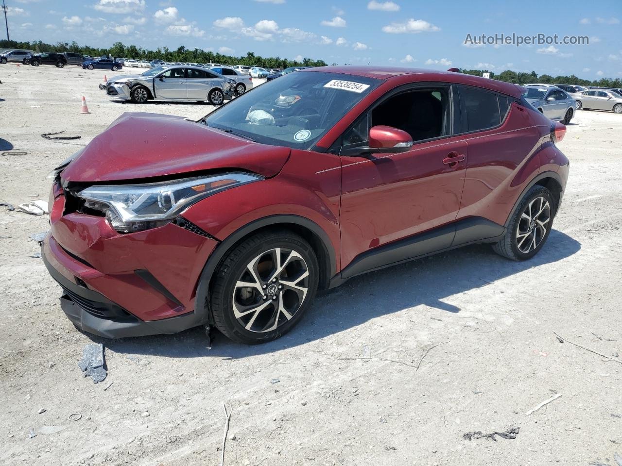 2019 Toyota C-hr Xle Red vin: NMTKHMBX5KR069557