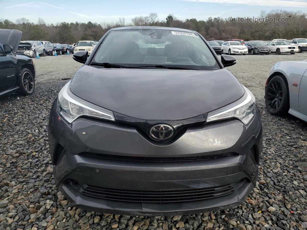 2019 Toyota C-hr Xle Gray vin: NMTKHMBX6KR093995