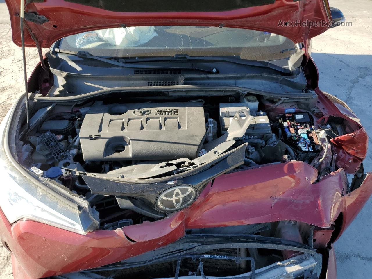 2019 Toyota C-hr Xle Темно-бордовый vin: NMTKHMBXXKR087245