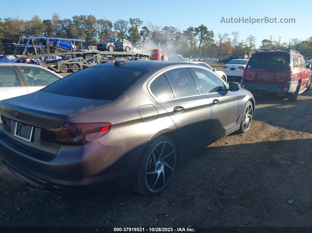 2019 Bmw 530i Purple vin: NY76911