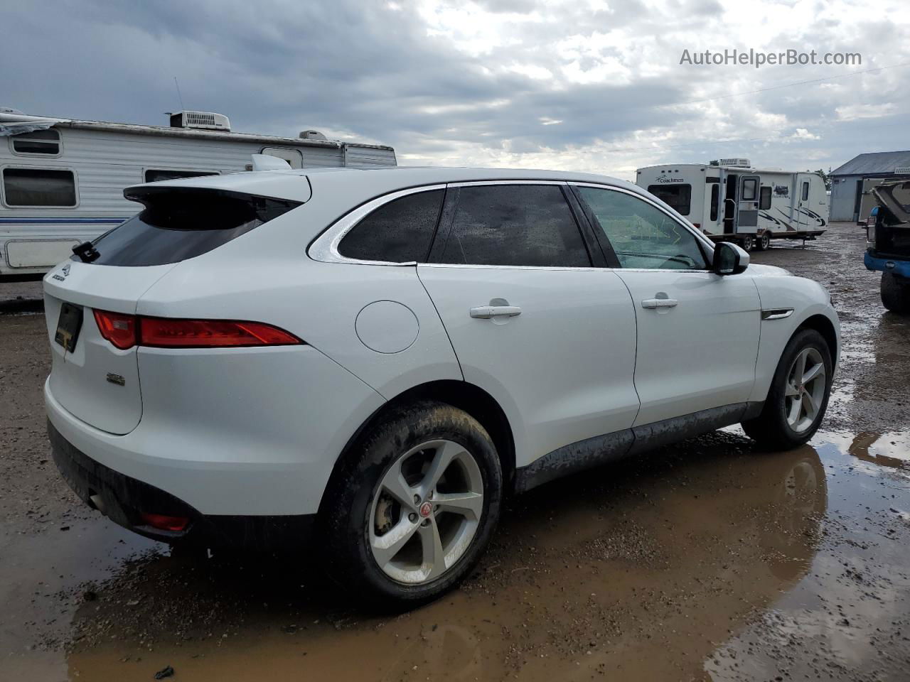 2019 Jaguar F-pace Premium Белый vin: SADCJ2FX0KA360915