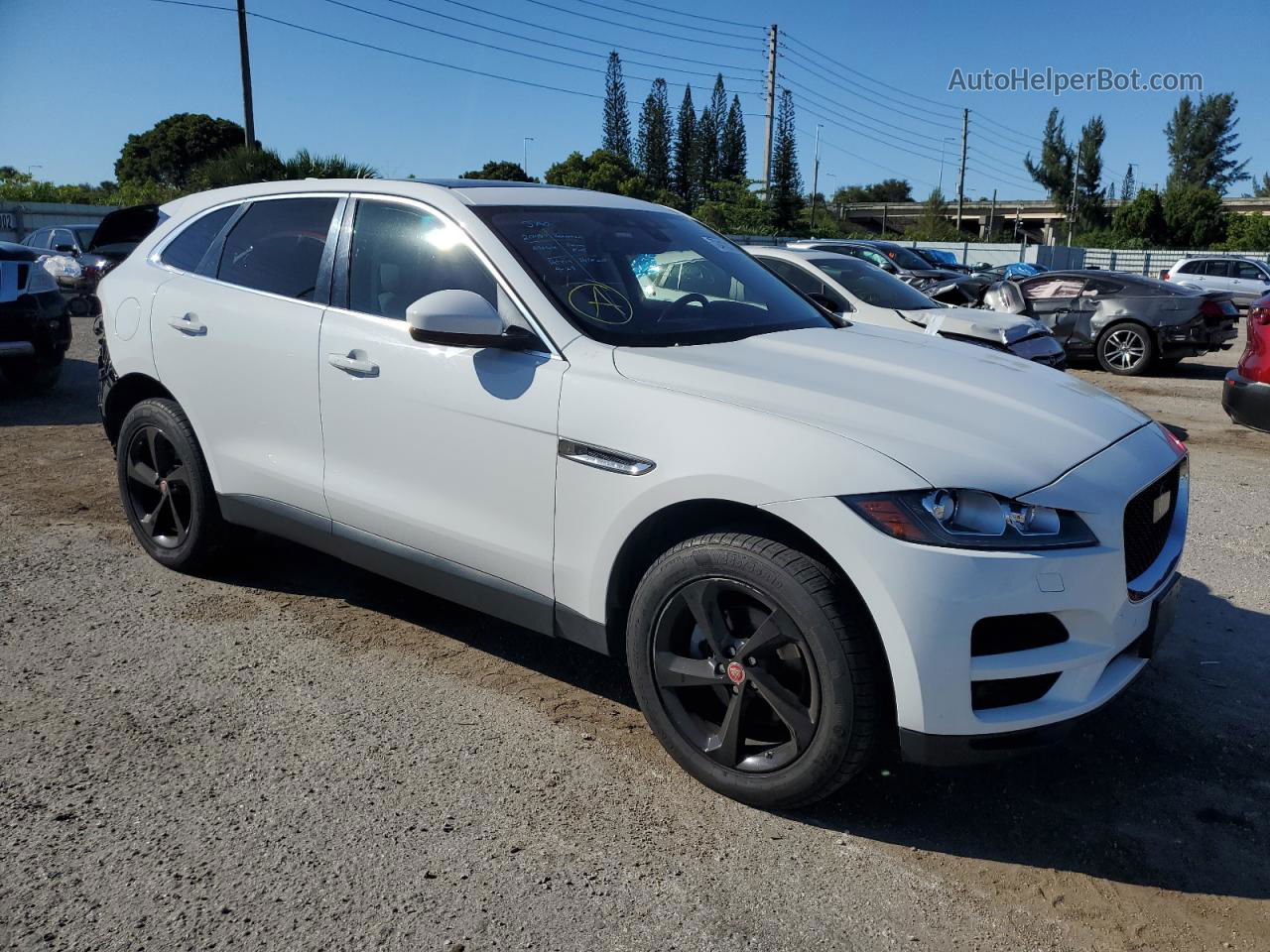 2019 Jaguar F-pace Premium Белый vin: SADCJ2FX1KA367498