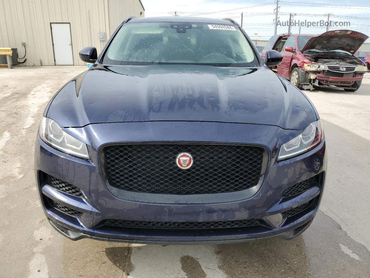 2019 Jaguar F-pace Premium Синий vin: SADCJ2FX1KA391929