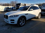 2019 Jaguar F-pace Premium White vin: SADCJ2FX1KA601834