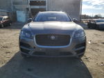 2019 Jaguar F-pace Premium Gray vin: SADCJ2FX2KA609621