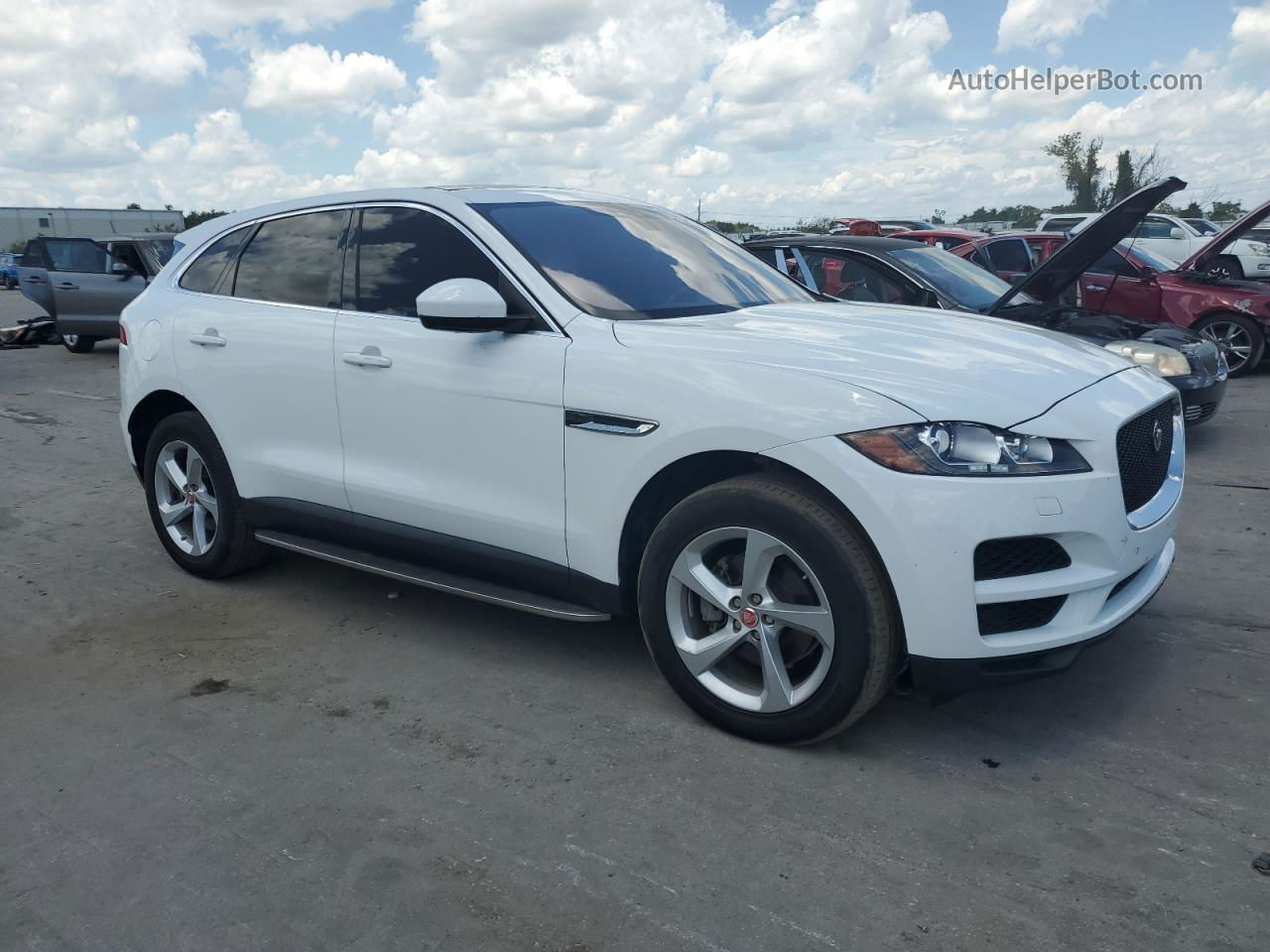 2019 Jaguar F-pace Premium White vin: SADCJ2FX3KA360181