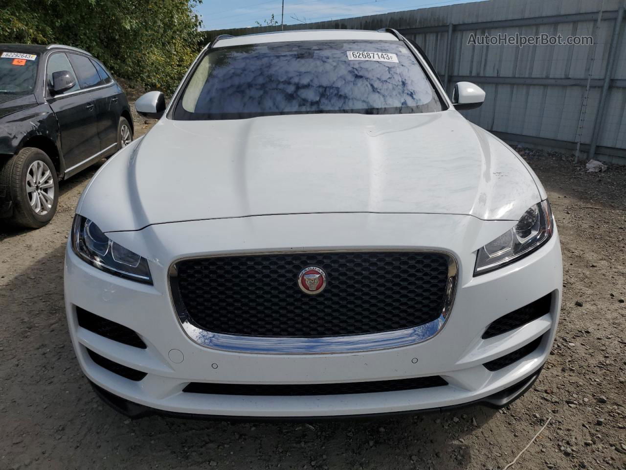 2019 Jaguar F-pace Premium White vin: SADCJ2FX4KA398745