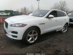 2019 Jaguar F-pace 25t Premium Белый vin: SADCJ2FX4KA610124