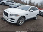 2020 Jaguar F-pace Premium P250 Awd Automatic Белый vin: SADCJ2FX4LA657445