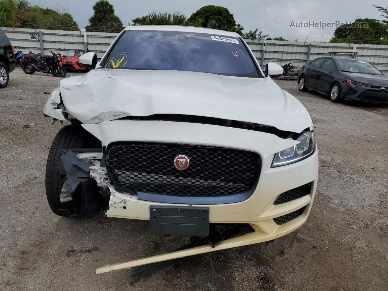 2019 Jaguar F-pace Premium White vin: SADCJ2FX5KA602291