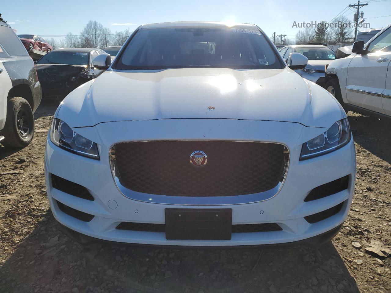 2019 Jaguar F-pace Premium White vin: SADCJ2FX5KA616191