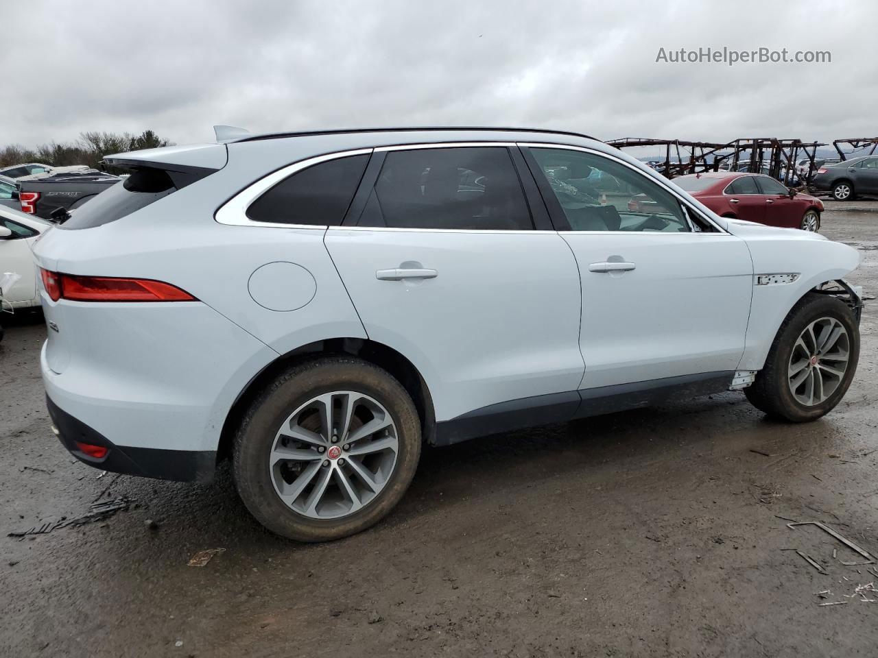 2019 Jaguar F-pace Premium White vin: SADCJ2FX7KA360894