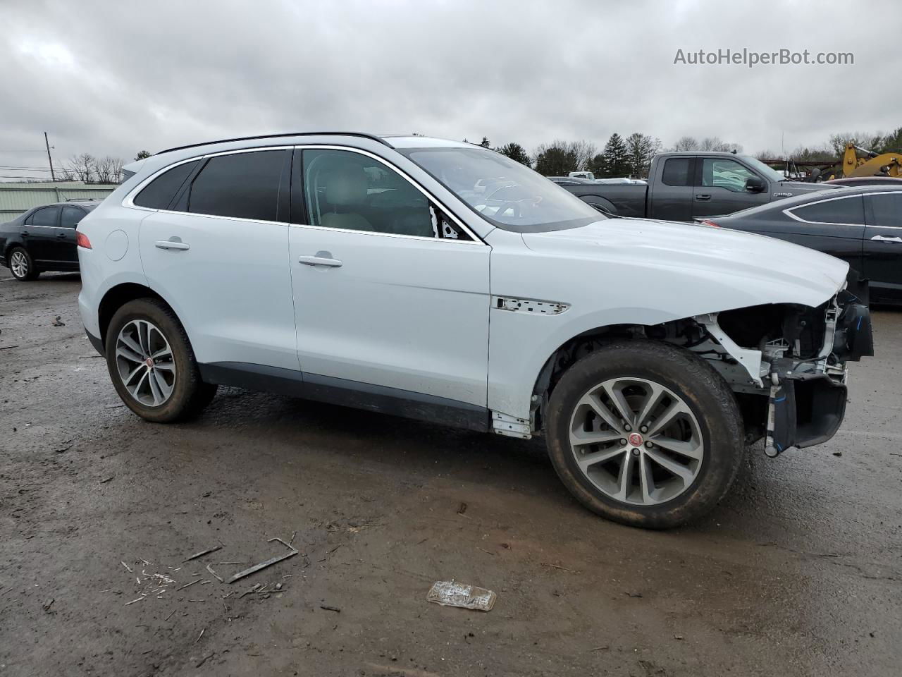 2019 Jaguar F-pace Premium White vin: SADCJ2FX7KA360894