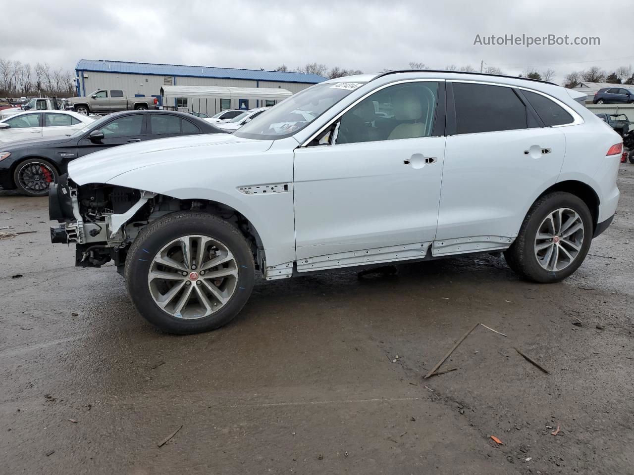 2019 Jaguar F-pace Premium White vin: SADCJ2FX7KA360894