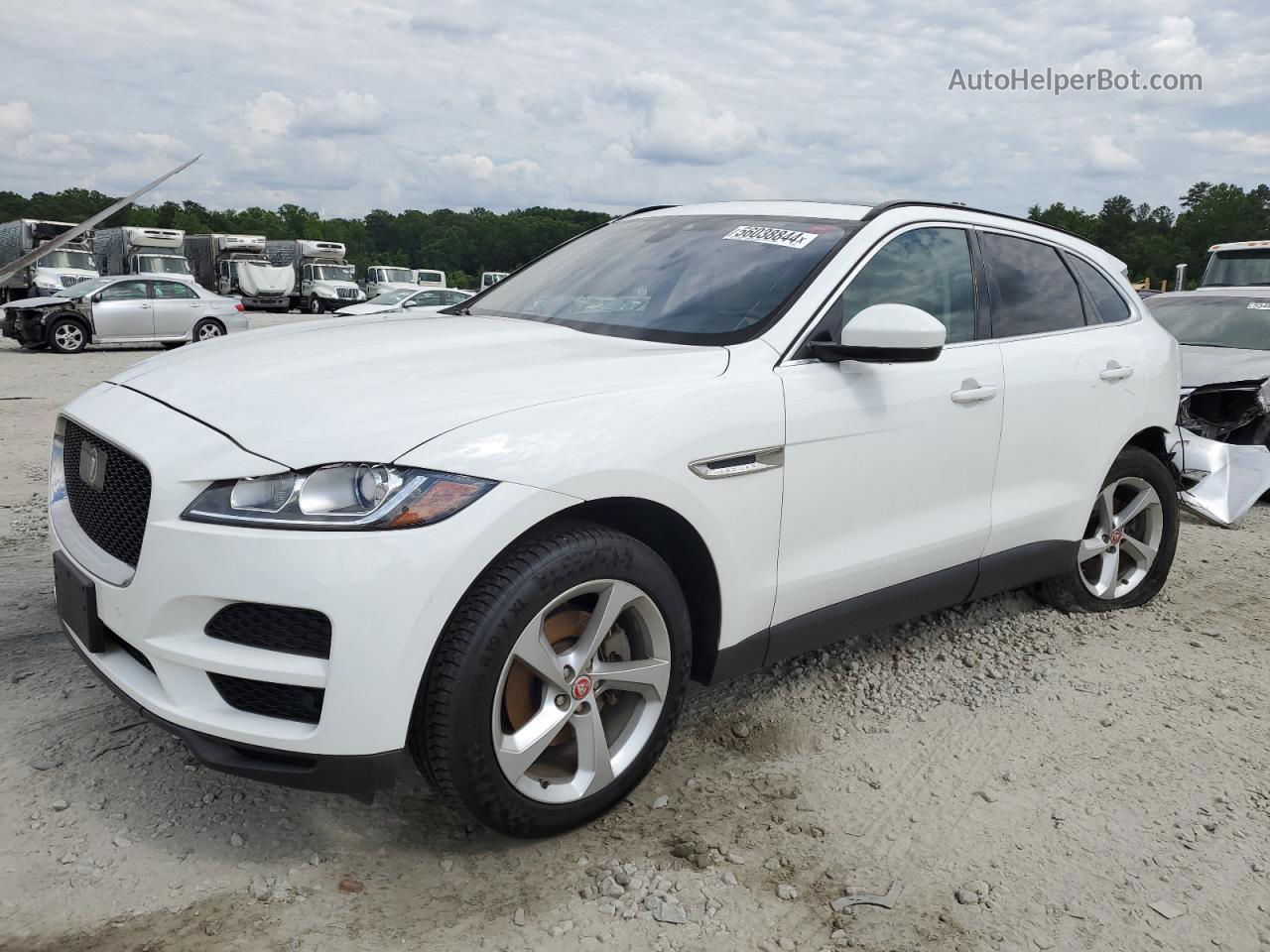 2019 Jaguar F-pace Premium White vin: SADCJ2FX7KA368400