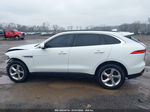 2019 Jaguar F-pace 25t Premium White vin: SADCJ2FX8KA359950