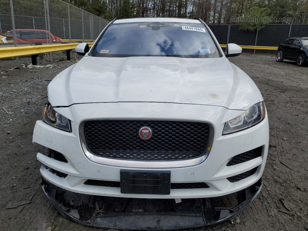 2020 Jaguar F-pace Premium Белый vin: SADCJ2FX8LA620138