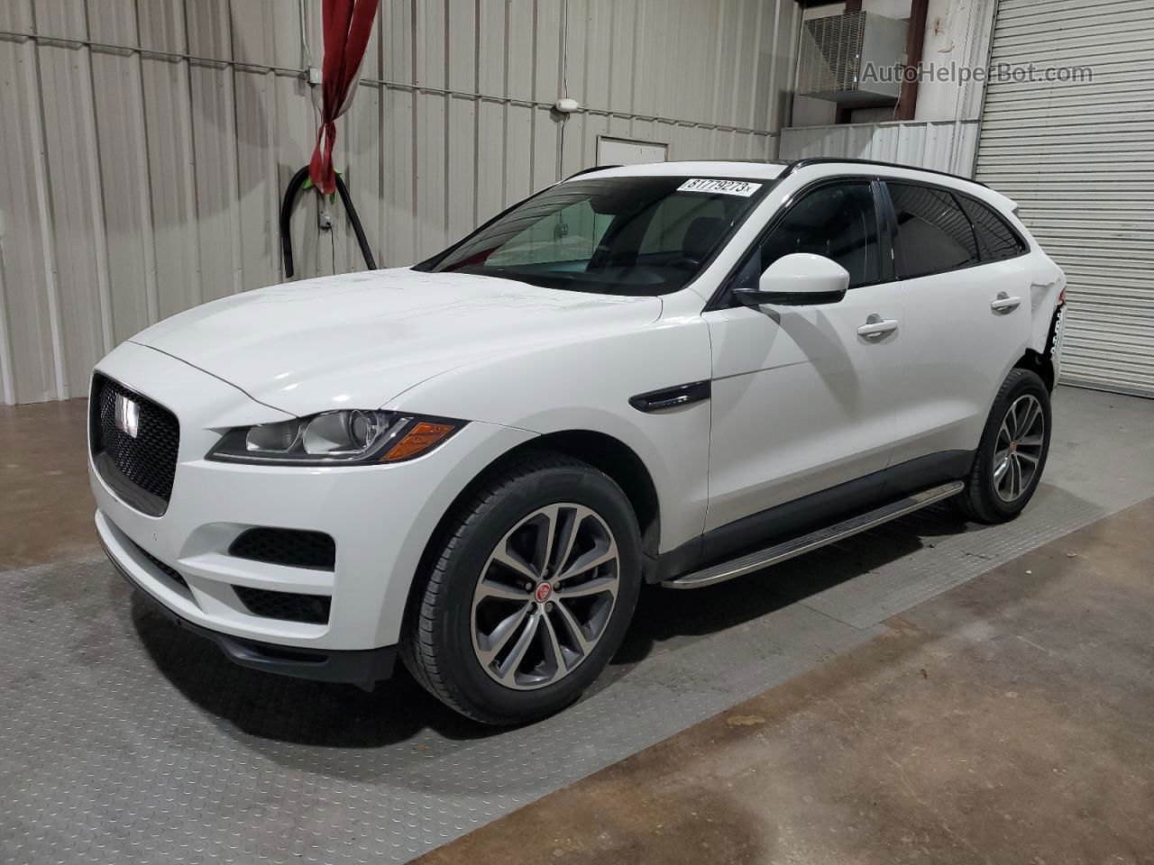 2019 Jaguar F-pace Premium White vin: SADCJ2FX9KA365336