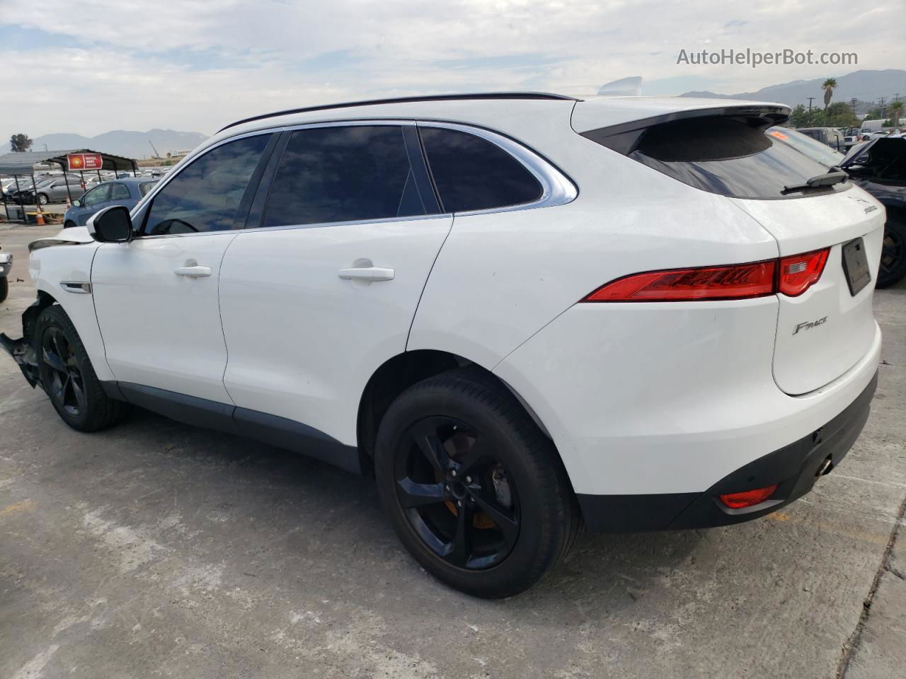 2019 Jaguar F-pace Premium Белый vin: SADCJ2FX9KA616792