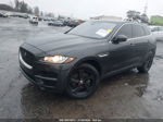 2019 Jaguar F-pace 25t Premium/30t Premium Серый vin: SADCJ2GX9KA395807