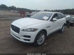 2020 Jaguar F-pace Prestige P250 Awd Automatic Белый vin: SADCK2FX2LA648000