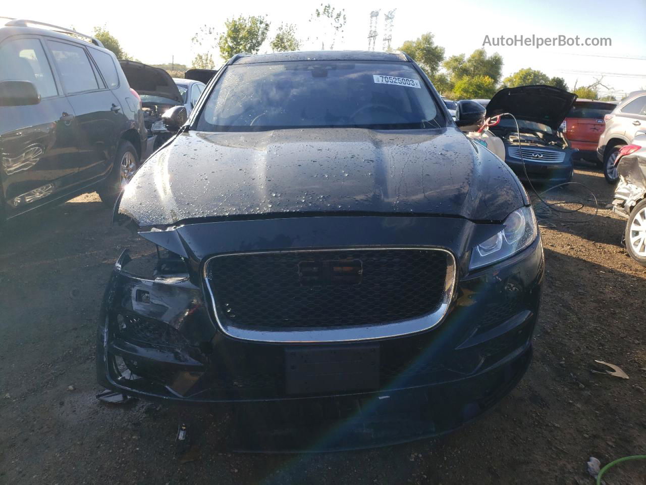 2019 Jaguar F-pace Prestige Black vin: SADCK2FX7KA352064