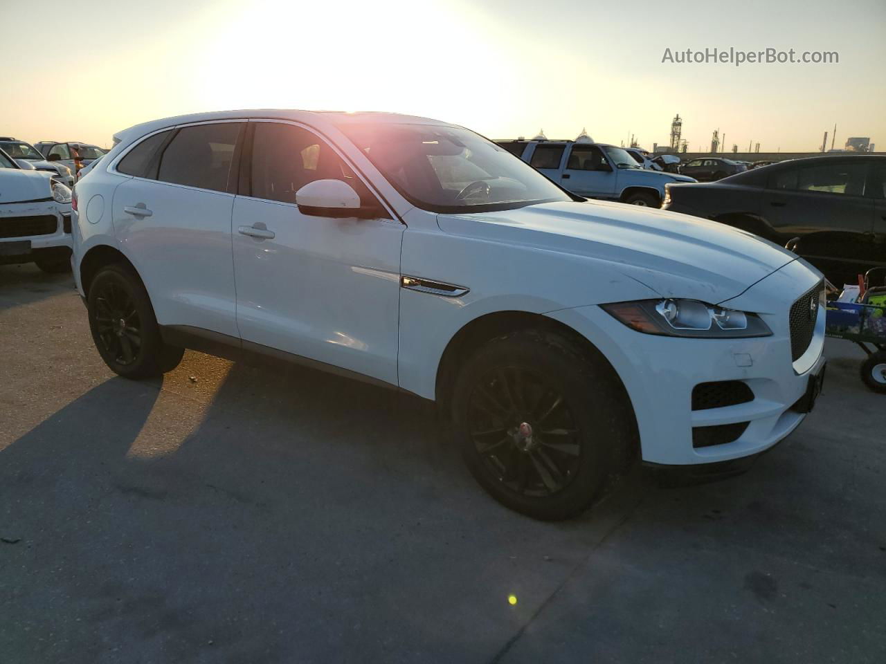 2019 Jaguar F-pace Prestige Белый vin: SADCK2GX2KA392700