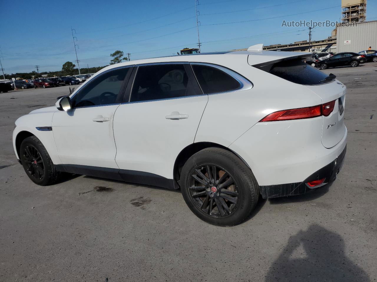 2019 Jaguar F-pace Prestige Белый vin: SADCK2GX2KA392700